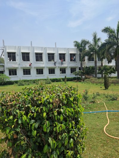 Faridu